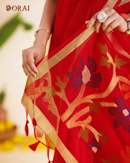 Crimson Radiance – Red Muga Cotton Saree with Organza Elegance